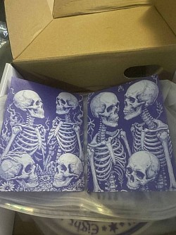 Skeleton art work