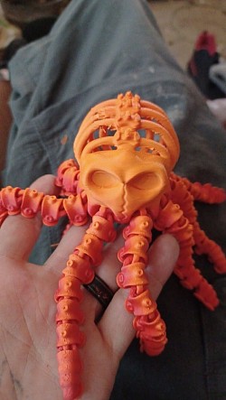 Skeleton Octopus with a skull in its belly