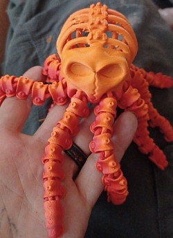 Skeleton Octopus with a skull in its belly