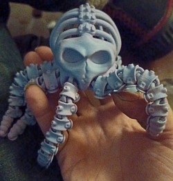 Skeleton Octopus without skull in belly