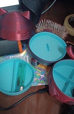 Insides of cat jewlery box