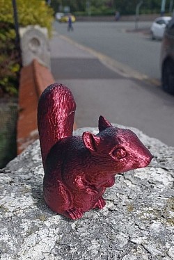 Squirrel