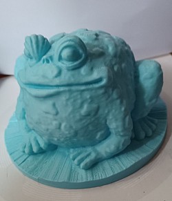 Warty Toad